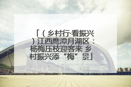 （乡村行·看振兴）江西鹰潭月湖区：杨梅压枝迎客来 乡村振兴添“梅”景