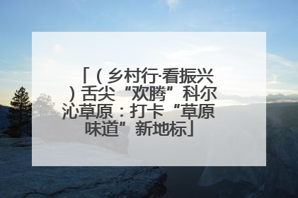 （乡村行·看振兴）舌尖“欢腾”科尔沁草原：打卡“草原味道”新地标