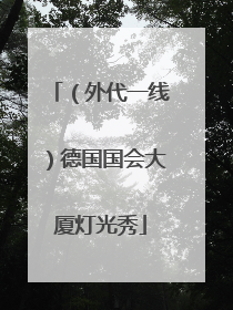 （外代一线）德国国会大厦灯光秀