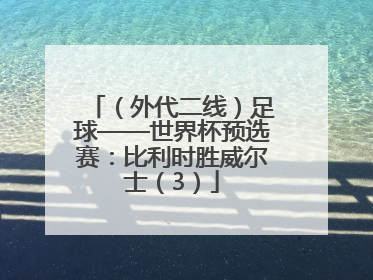 （外代二线）足球——世界杯预选赛：比利时胜威尔士（3）