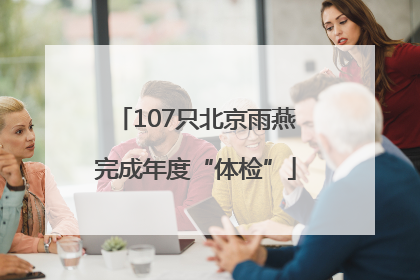 107只北京雨燕完成年度“体检”