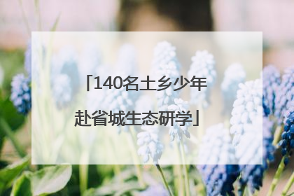 140名土乡少年赴省城生态研学