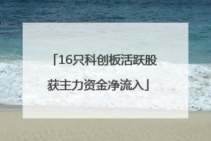 16只科创板活跃股获主力资金净流入