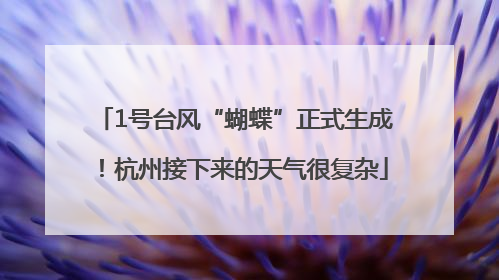 1号台风“蝴蝶”正式生成！杭州接下来的天气很复杂