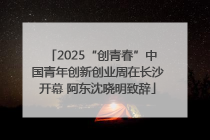 2025“创青春”中国青年创新创业周在长沙开幕 阿东沈晓明致辞