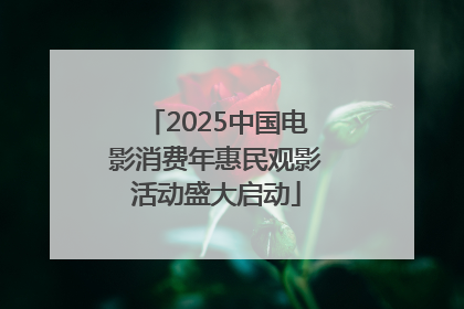 2025中国电影消费年惠民观影活动盛大启动
