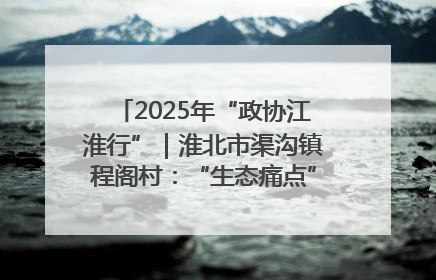 2025年“政协江淮行”｜淮北市渠沟镇程阁村：“生态痛点”变“生态景观”