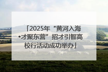 2025年“黄河入海•才聚东营”招才引智高校行活动成功举办