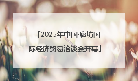 2025年中国·廊坊国际经济贸易洽谈会开幕