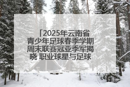 2025年云南省青少年足球春季学期周末联赛冠亚季军揭晓 职业球星与足球小将共享荣耀时刻