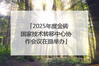 2025年度金砖国家技术转移中心协作会议在昆举办