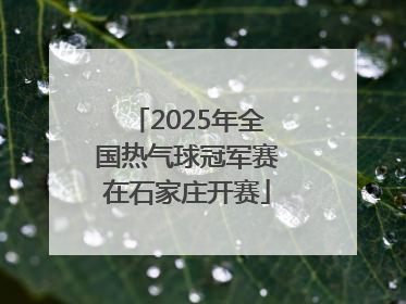 2025年全国热气球冠军赛在石家庄开赛