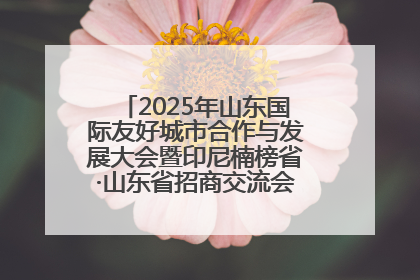 2025年山东国际友好城市合作与发展大会暨印尼楠榜省·山东省招商交流会在济南槐荫举行