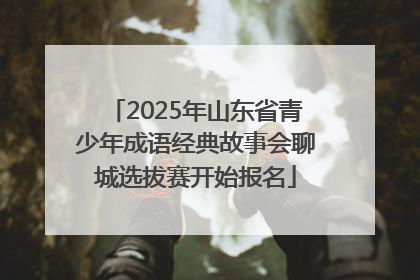 2025年山东省青少年成语经典故事会聊城选拔赛开始报名