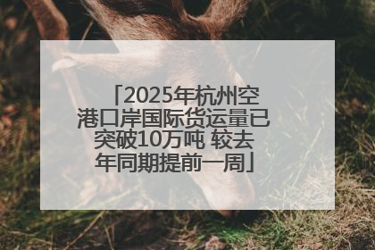 2025年杭州空港口岸国际货运量已突破10万吨 较去年同期提前一周