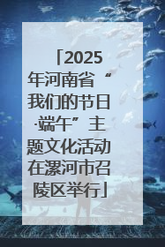 2025年河南省“我们的节日·端午”主题文化活动在漯河市召陵区举行