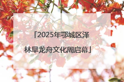 2025年鄂城区泽林旱龙舟文化周启幕