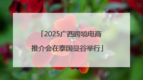 2025广西跨境电商推介会在泰国曼谷举行
