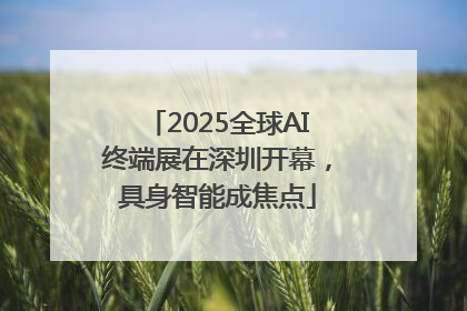 2025全球AI终端展在深圳开幕，具身智能成焦点