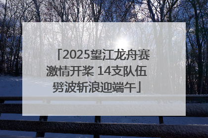 2025望江龙舟赛激情开桨 14支队伍劈波斩浪迎端午