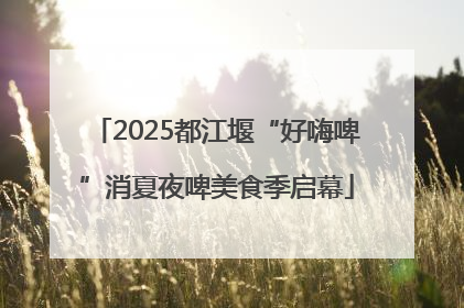 2025都江堰“好嗨啤”消夏夜啤美食季启幕