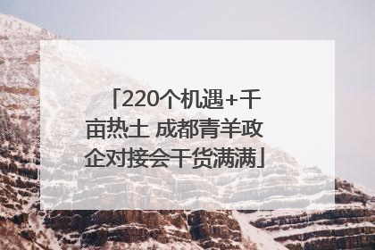 220个机遇+千亩热土 成都青羊政企对接会干货满满