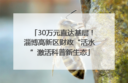 30万元直达基层！淄博高新区财政“活水”激活科普新生态