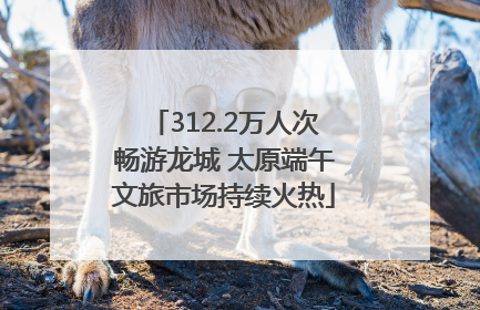 312.2万人次畅游龙城 太原端午文旅市场持续火热