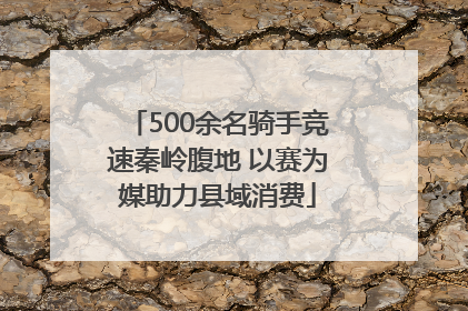 500余名骑手竞速秦岭腹地 以赛为媒助力县域消费