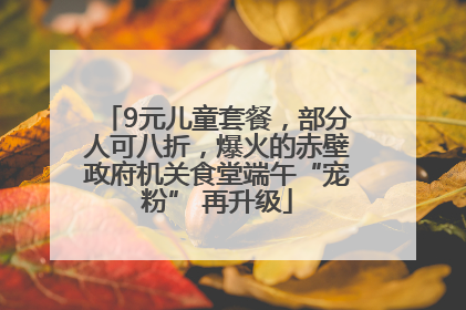 9元儿童套餐，部分人可八折，爆火的赤壁政府机关食堂端午“宠粉” 再升级