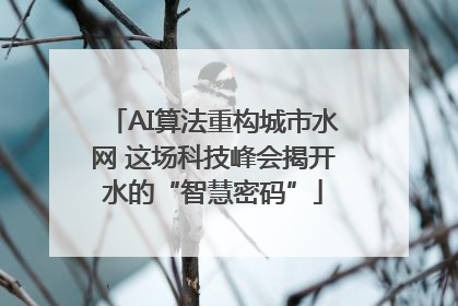 AI算法重构城市水网 这场科技峰会揭开水的“智慧密码”