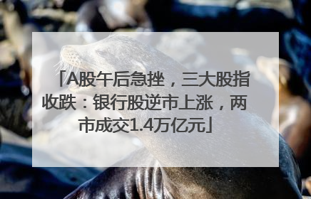 A股午后急挫，三大股指收跌：银行股逆市上涨，两市成交1.4万亿元