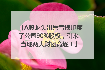 A股龙头出售亏损印度子公司90%股权，引来当地两大财团竞逐！